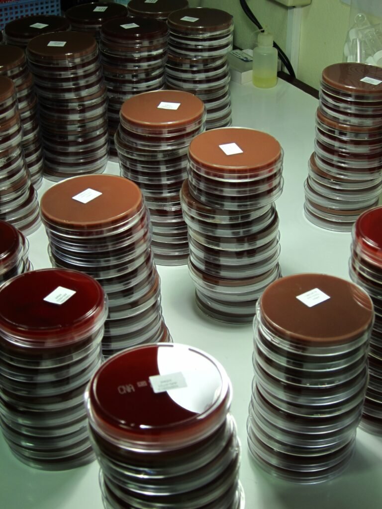 Opening the door to a vaccine for multiple childhood infections Opening the door to a vaccine for multiple childhood infections