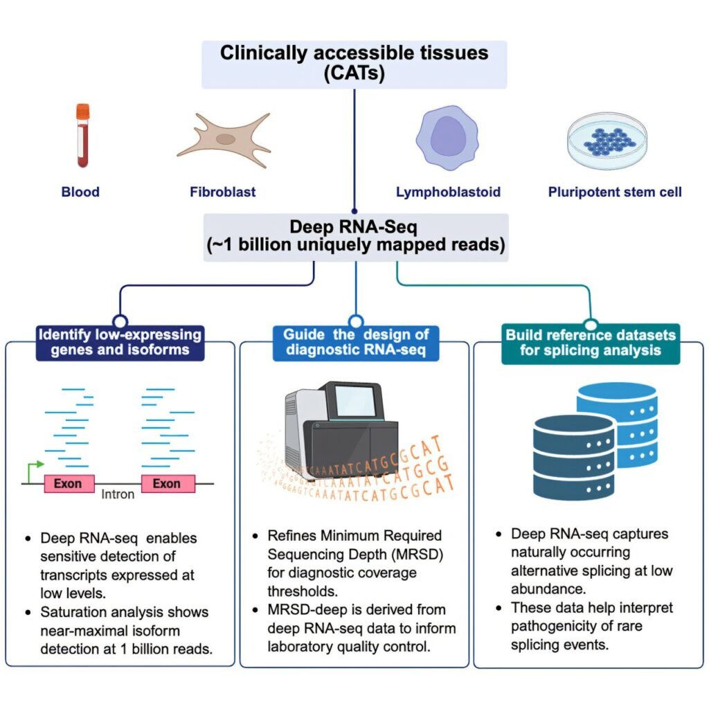 Researchers show benefit of ultra-deep RNA sequencing in Mendelian disorder diagnostics Researchers show benefit of ultra-deep RNA sequencing in Mendelian disorder diagnostics