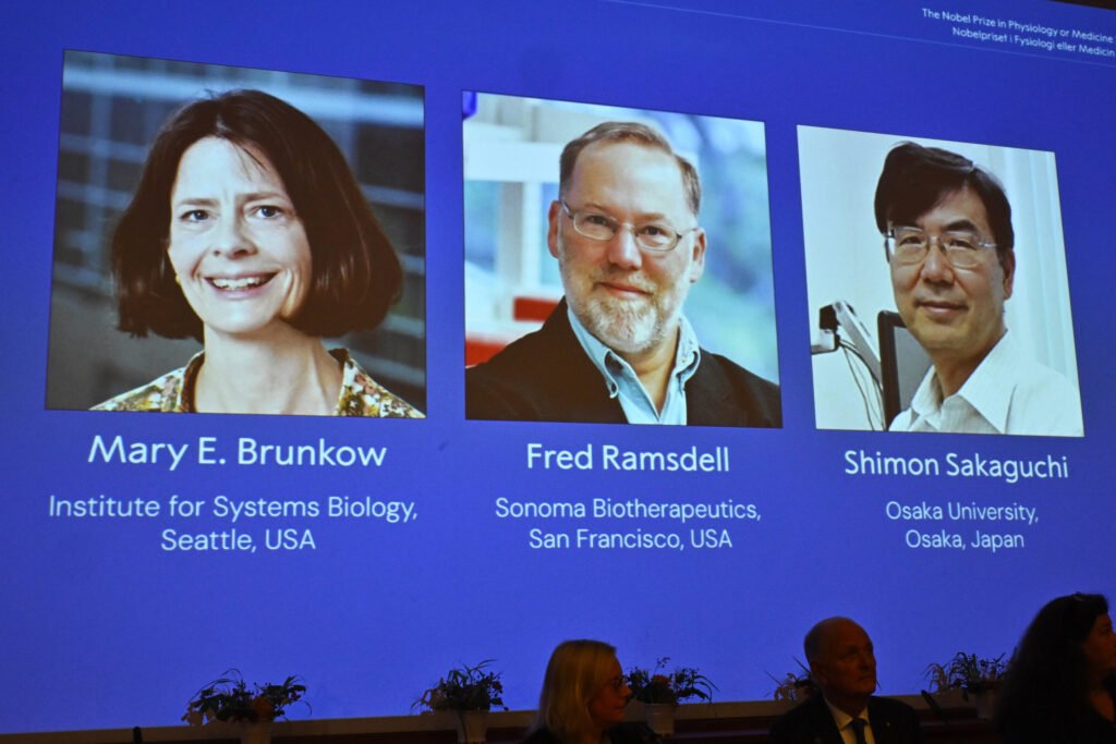 The Nobel Prize in medicine goes to 3 scientists for work on peripheral immune tolerance