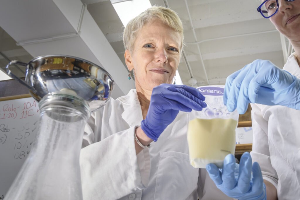 Variations in human donor milk present critical considerations for preterm infants worldwide