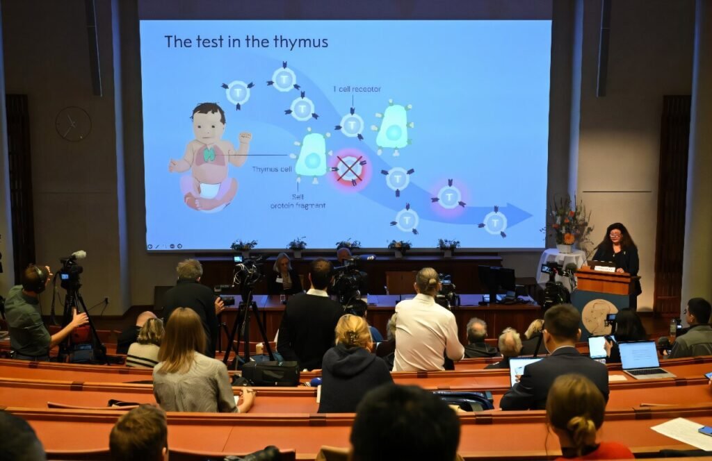 What are regulatory T-cells? Nobel-winning science explained