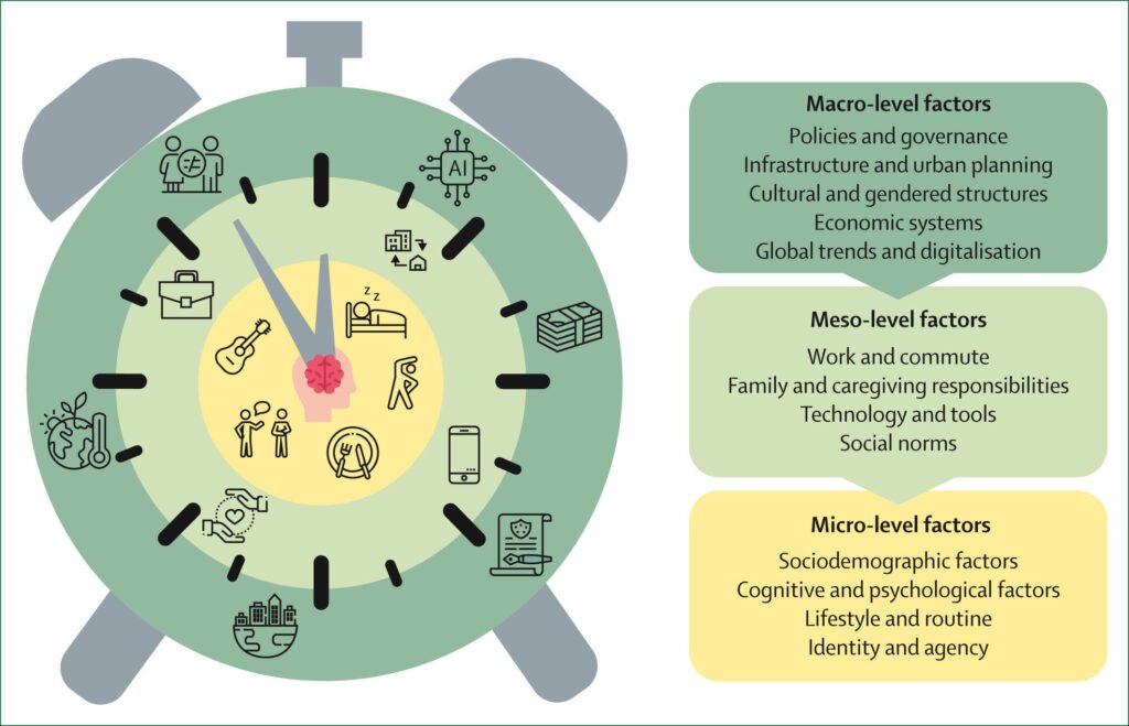 Why time could be as critical as diet and exercise for brain health