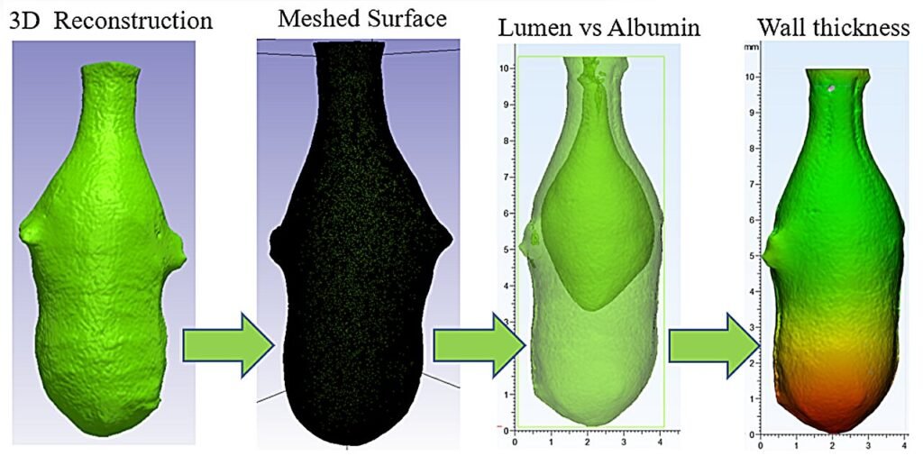 New insights into how the organ actually works